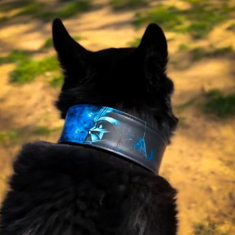 The Darth Vader Limited Collar-3