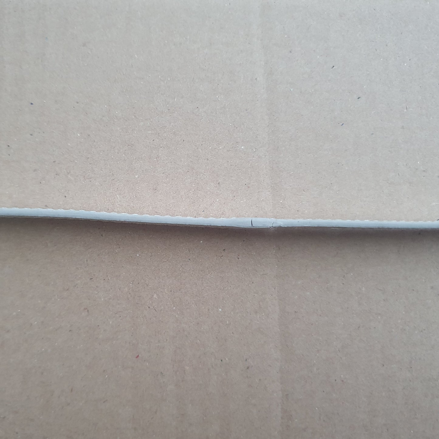 SECOND Silver Metallic Cat Collar-1