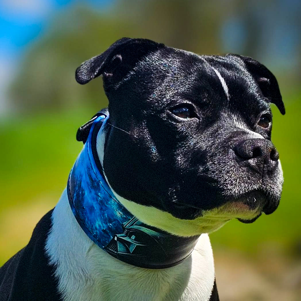 The Darth Vader Limited Collar-2