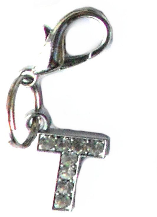 A-Z Crystal Letter Pet Charms-22