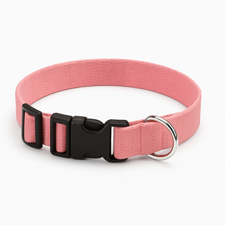 Pet Collars