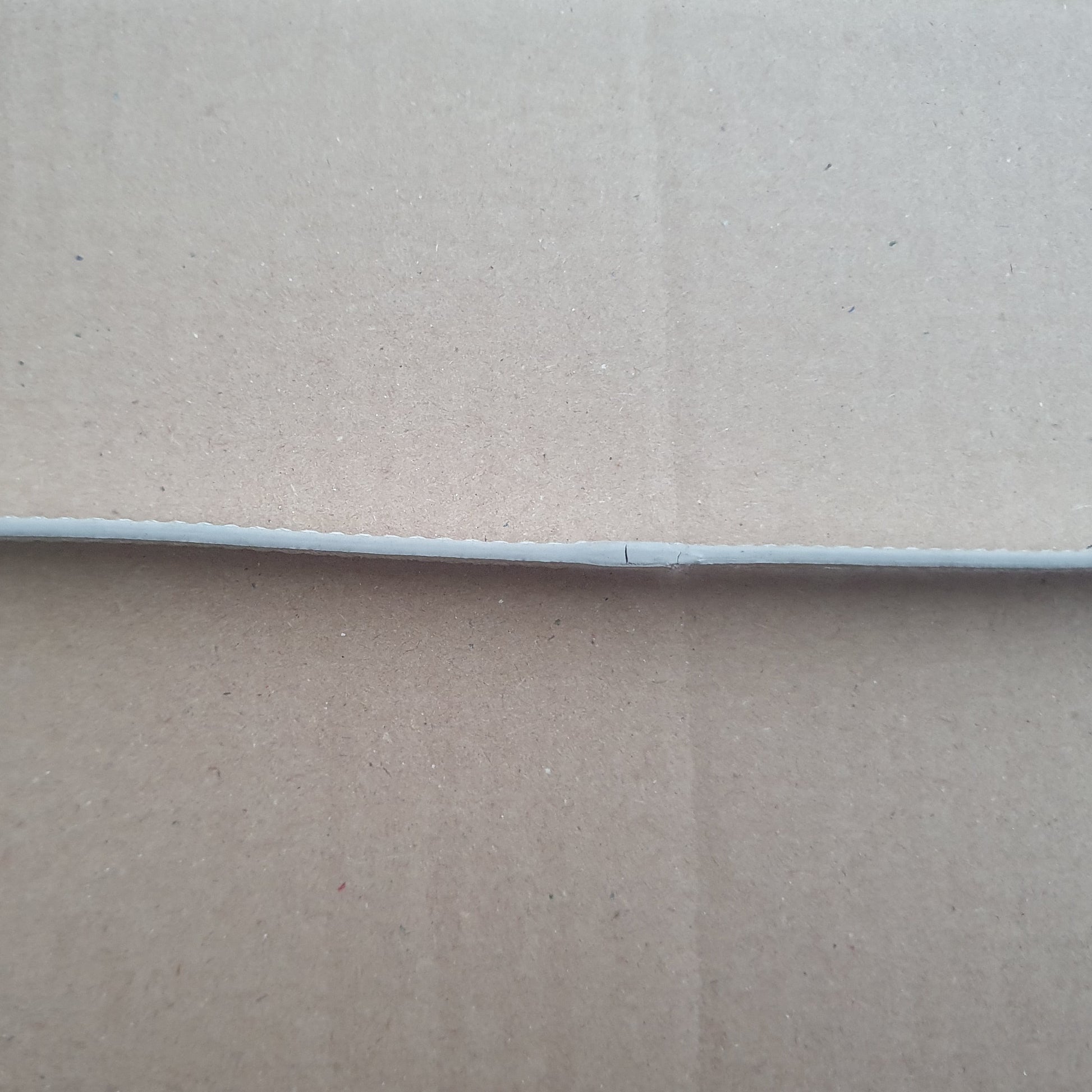 SECOND Silver Metallic Cat Collar-1