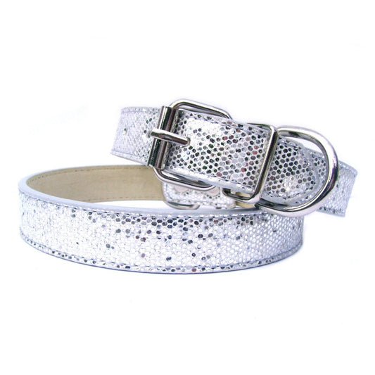 Disco Fever Dog Collar-1
