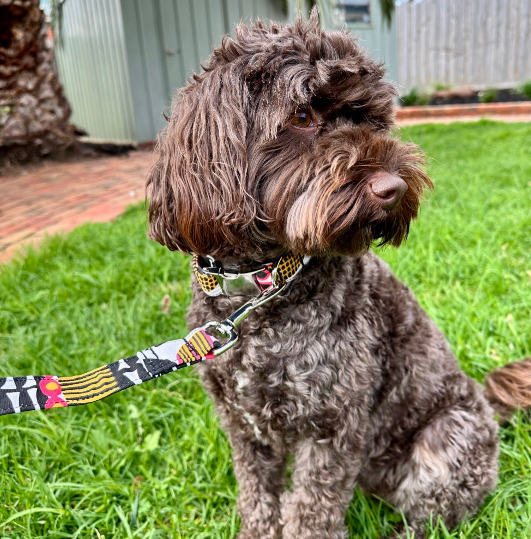 The 'White Tulip Flowers' Dog Collar Bundle - Fluffy Tales