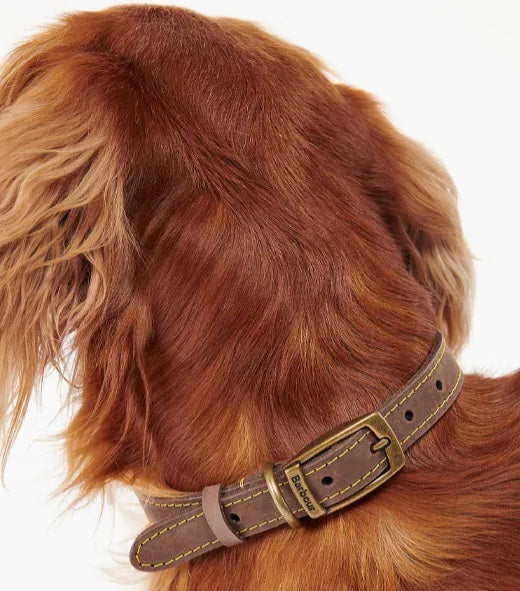 Barbour Mid Brown Leather Dog Collar-1