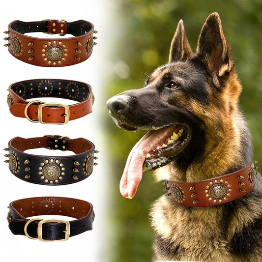 Leather Dog Collars-0