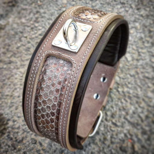 The ''Python'' exclusive design-1